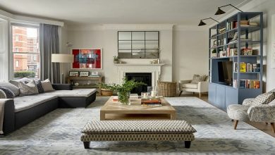 Design Freedom: Apartment vs. House for Interior Decorators